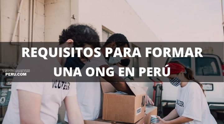 Requisitos para formar una ONG en Perú
